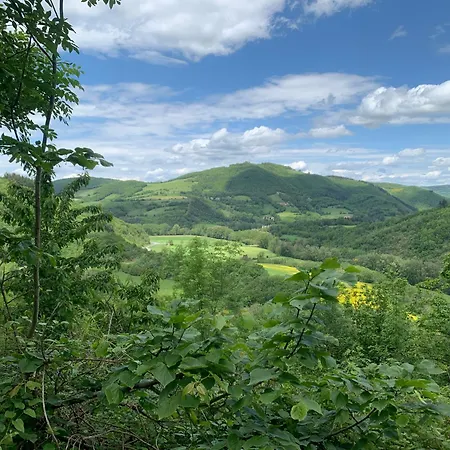 Les Jardins De Lumiere 4* Brusque