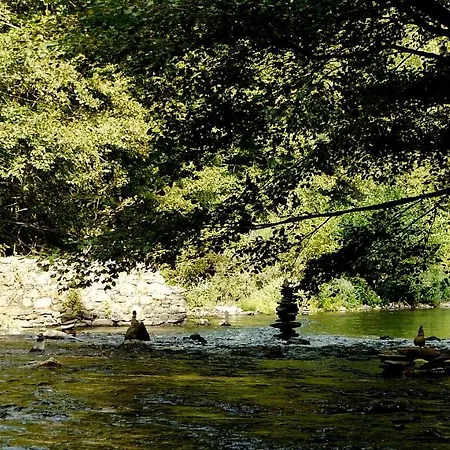 Oda ve Kahvaltı Les Jardins De Lumiere Brusque