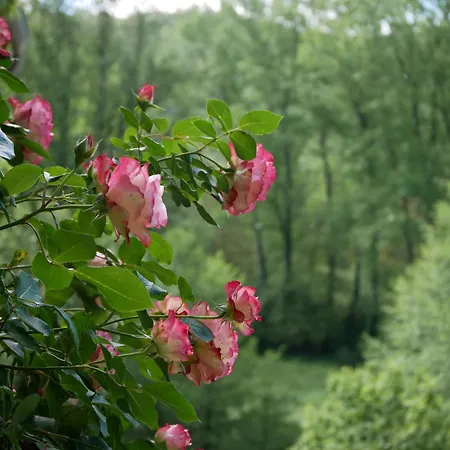 Les Jardins De Lumiere