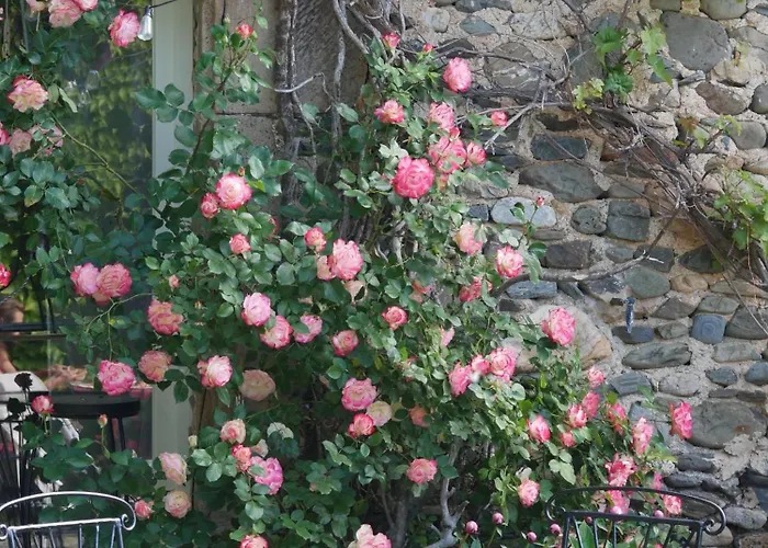 Les Jardins De Lumiere Отель типа 